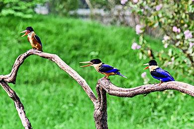 虚幻5引擎《吸血鬼：避世血族2》截图 画面惊艳